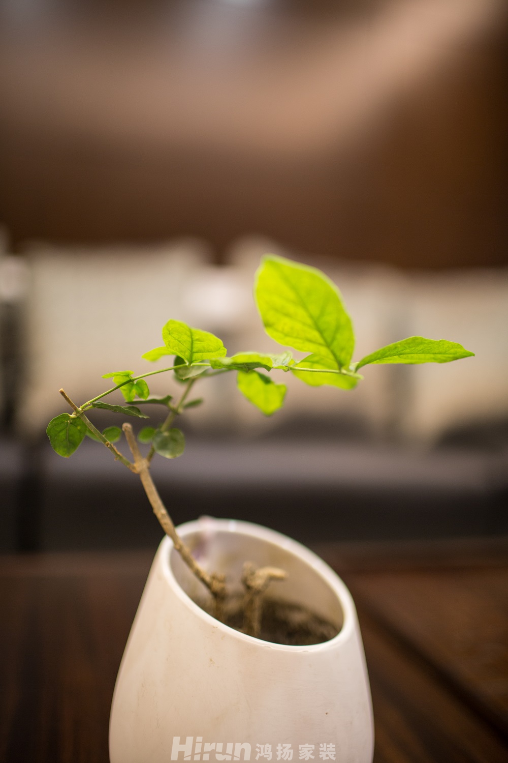 潮宗御苑160㎡寫意木構四居室 裝修案例效果圖-_Q2A5646- (33)